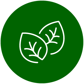 Vegan  Vegan