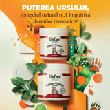 Gel încălzitor, Puterea Ursului, cu plante BIO - 500 ml