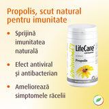 Propolis, scut natural pentru imunitate