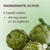 Sanobil cu anghinare pentru protecție biliară
