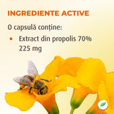 Propolis, scut natural pentru imunitate