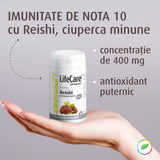 Extract de ciupercă Reishi, 400 mg