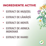 Șampon antimătreață, cu extract de plante BIO