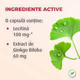 Ginkgo Biloba, cu lecitină