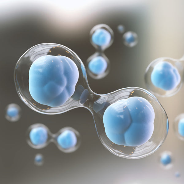 Antioxidant puternic