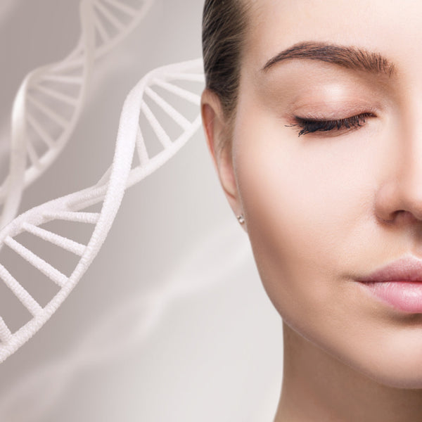 Benefits for the skin 