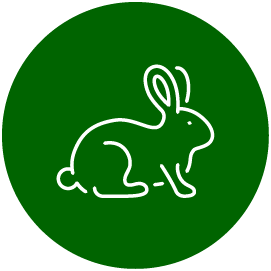 Fără teste pe animale