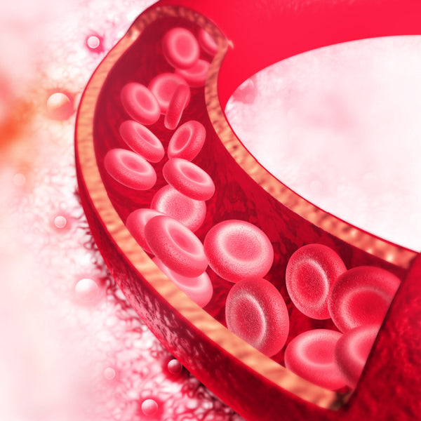 Improves circulation and elasticity of blood vessels