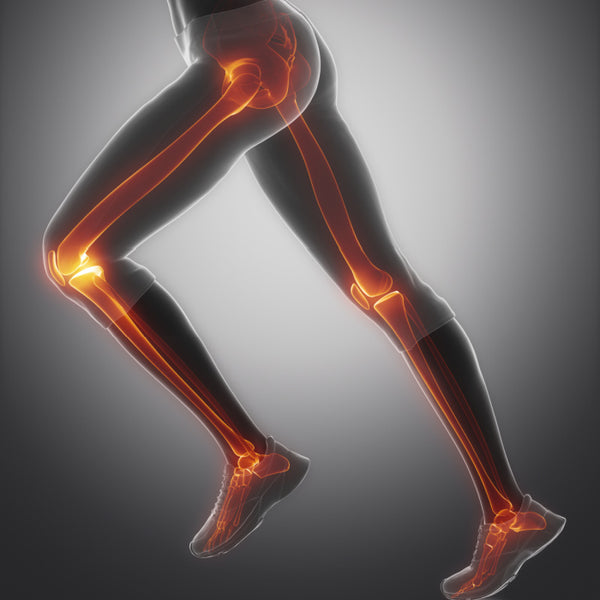  Support the health of bones and teeth