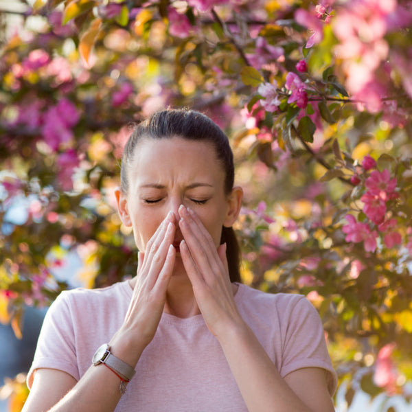 Reduces allergic inflammation and reactions