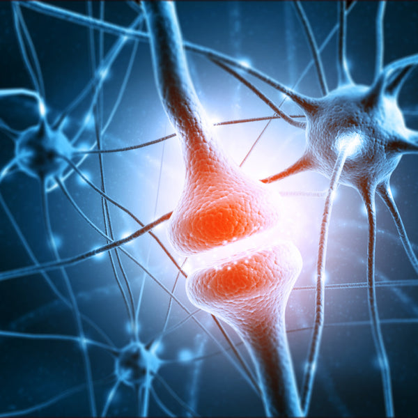 Reducing symptoms of cognitive decline