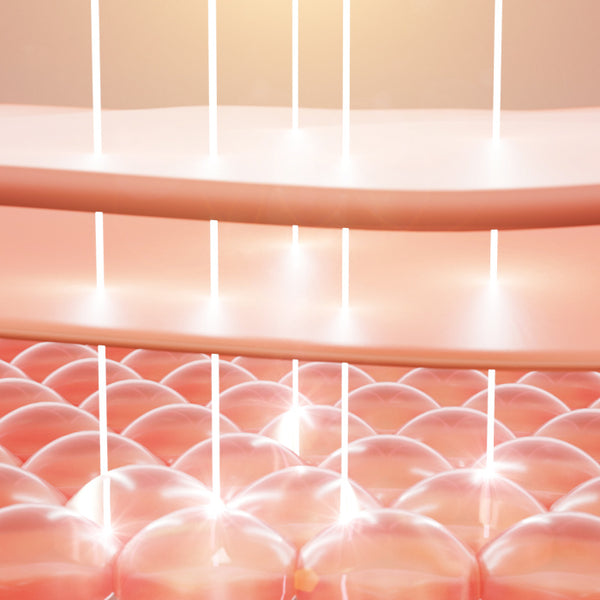 Cell regeneration