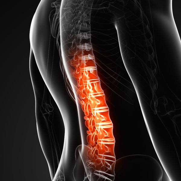 Regeneration of joints and spine