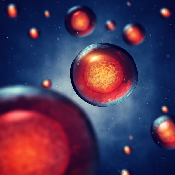 Regenerarea celulelor hepatice