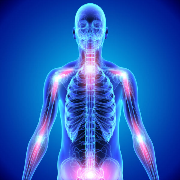 The health of the muscular and bone system