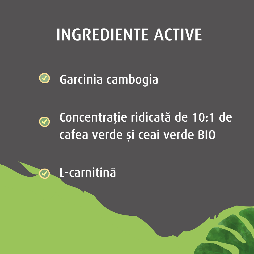 SlimMe, cu extract din ceai verde BIO, pentru slăbit