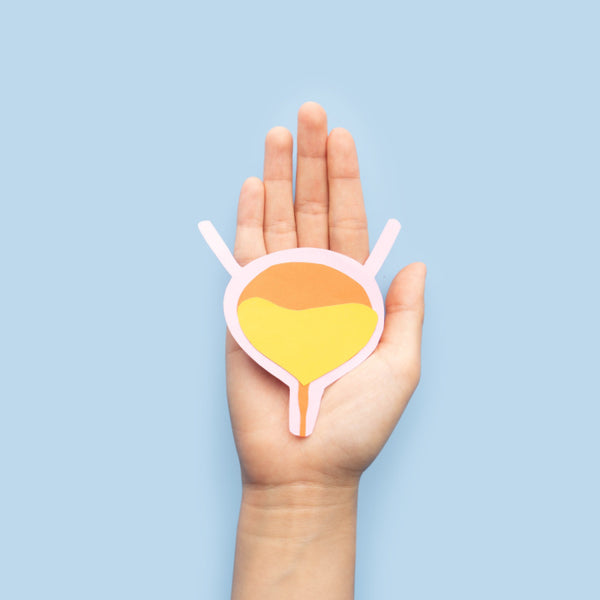 Support for the urinary tract