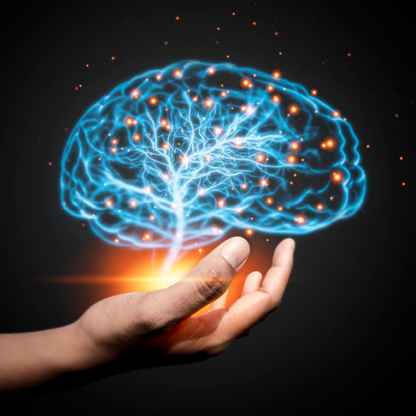 Support the health of the nervous system