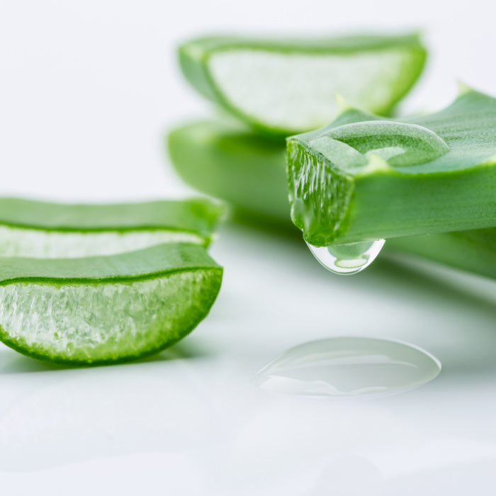 Suc Ecologic de Aloe Vera cu Merisor pentru Detoxifiere și Energie – – LIFE  CARE