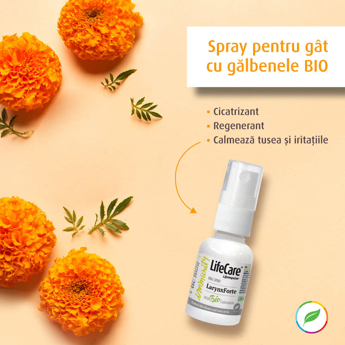 Spray for the neck, LarynxForte, with bio yellows