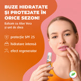Lip balm with aloe vera and shea butter, SPF 25, equilibrium