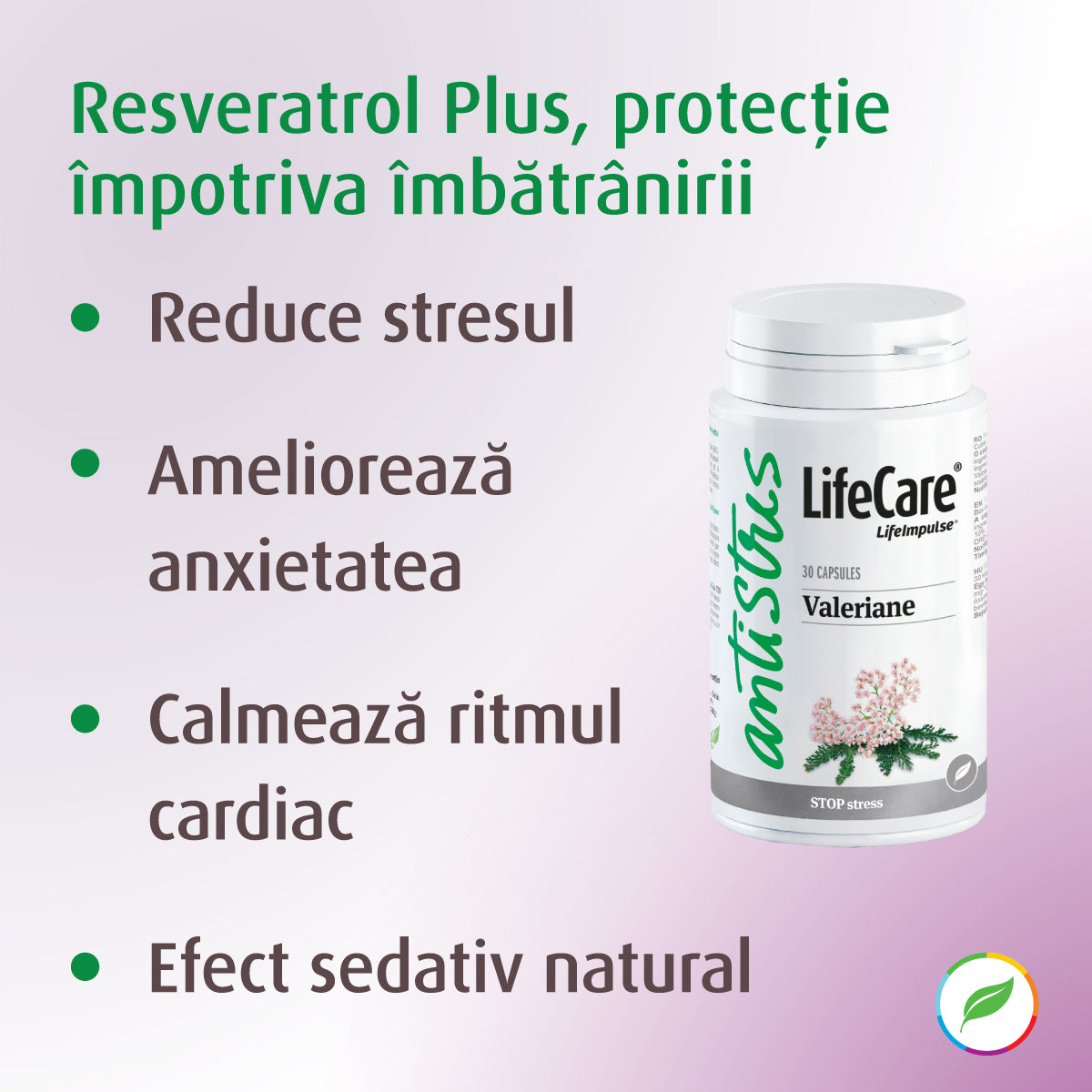 Extract de Valeriană, efect relaxant