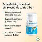 ActiveSalicin, with white willow bark extract