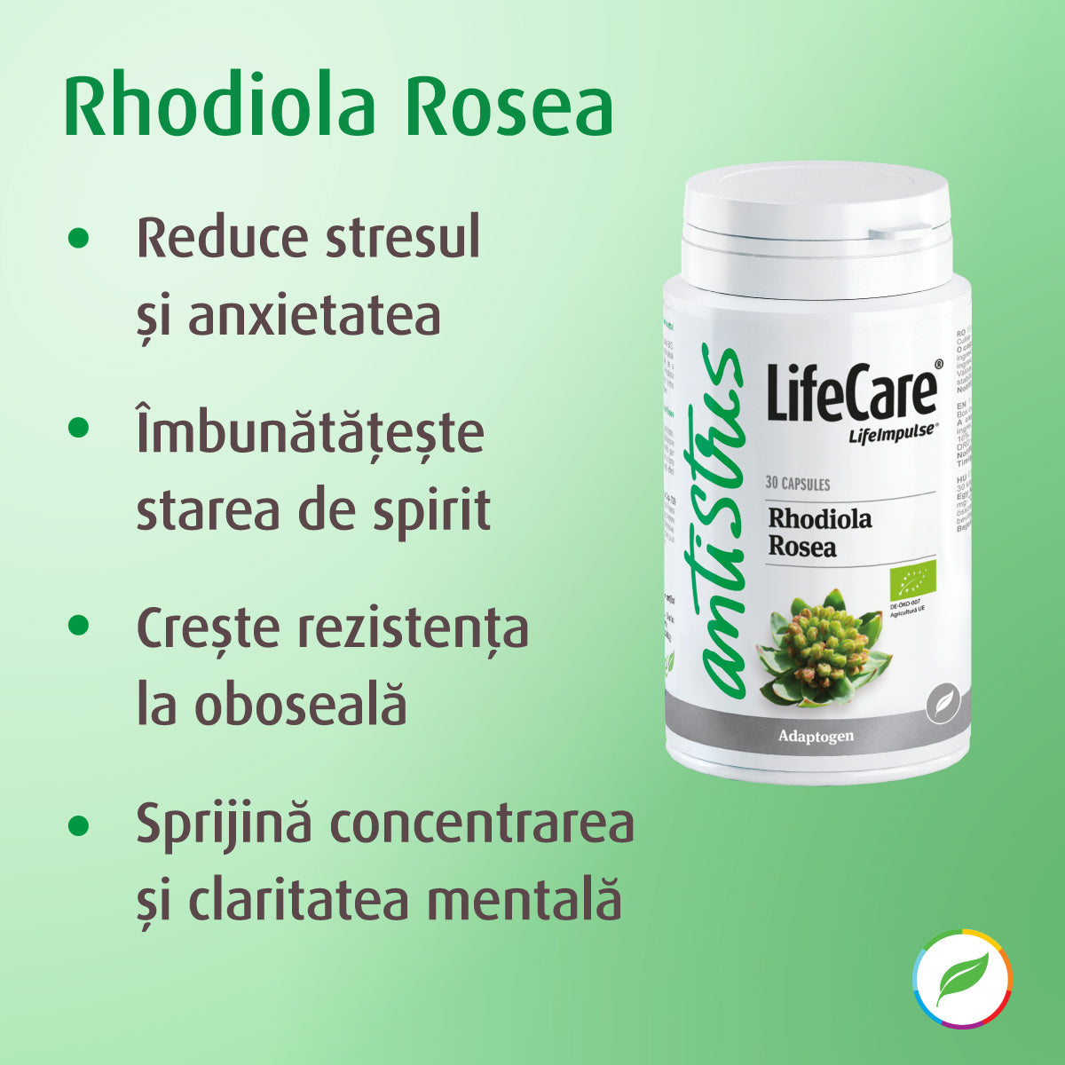 Rhodiola Rosea, pentru echilibrul emoțional