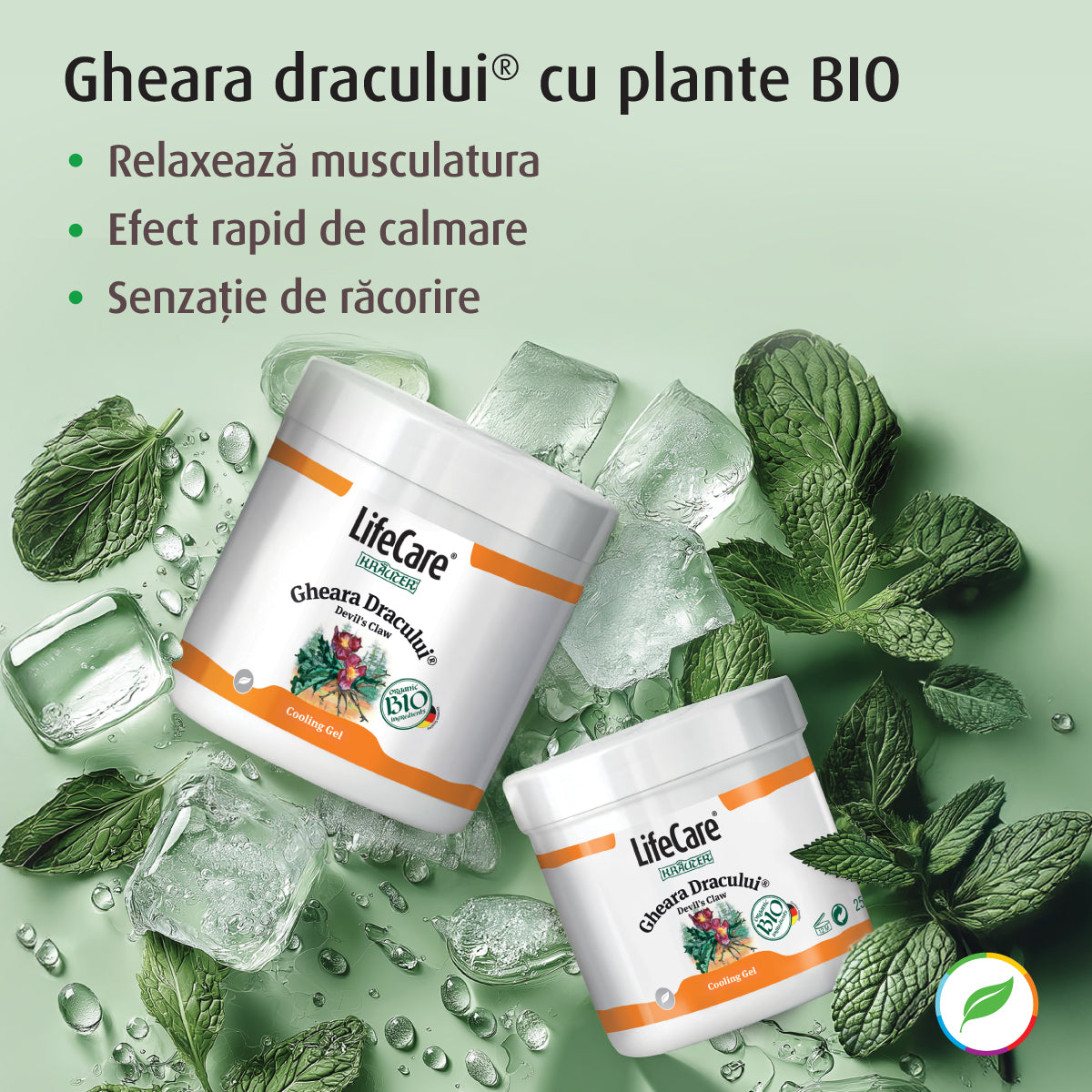 Gel răcoritor, Gheara Dracului, cu plante BIO - 500 ml