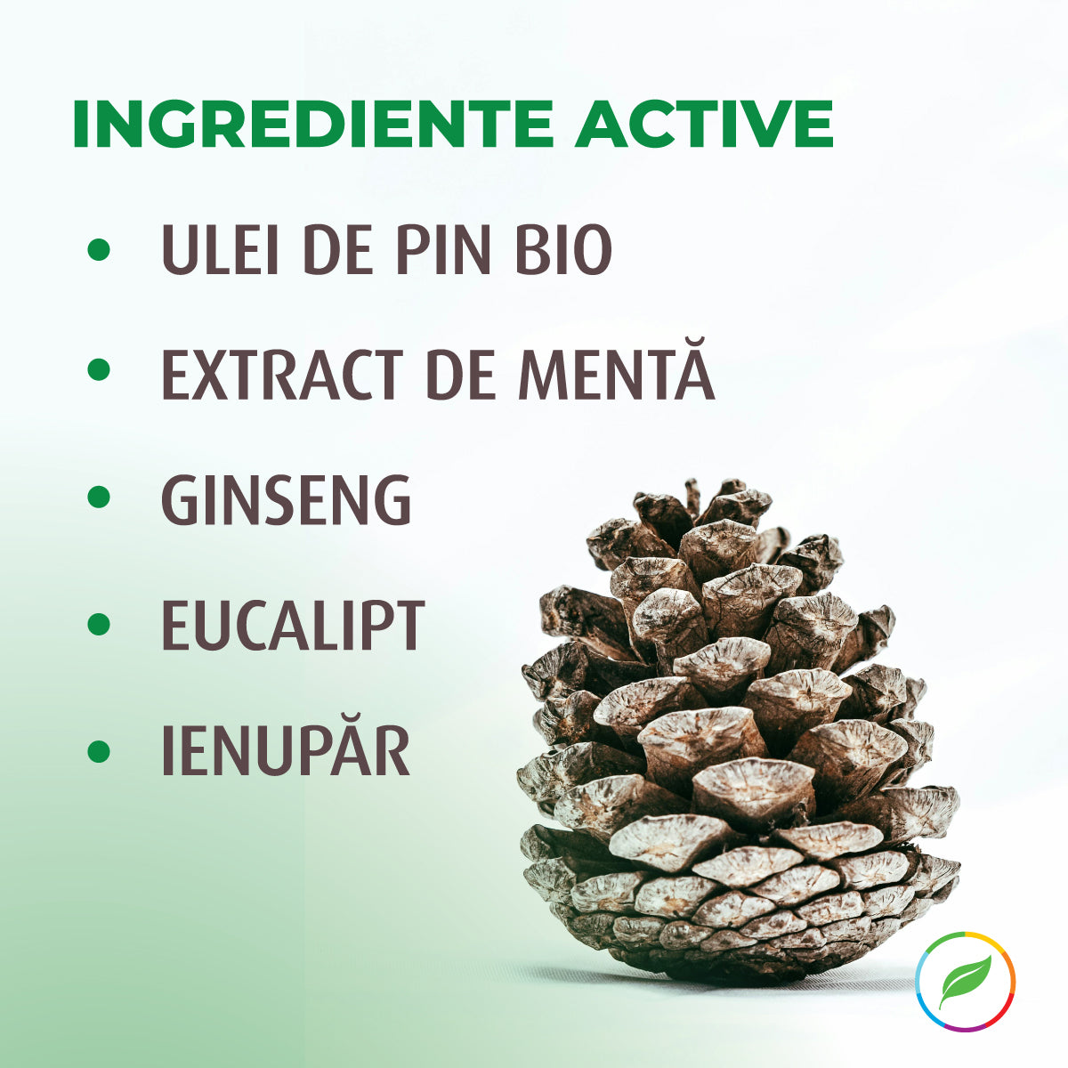 Gel de dus, cu pin și plante BIO