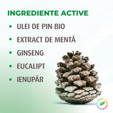Gel de dus, cu pin și plante BIO