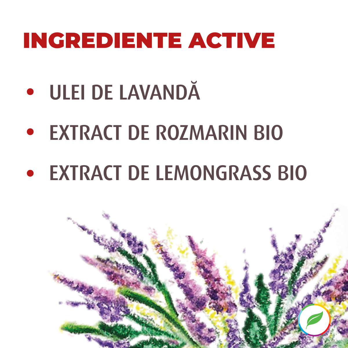 Săpun lichid 3 în 1, cu lavandă și plante BIO