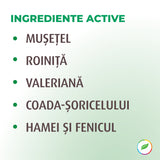 Balsam pentru păr, cu plante BIO