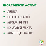 Loțiune pentru masaj, cu plante BIO