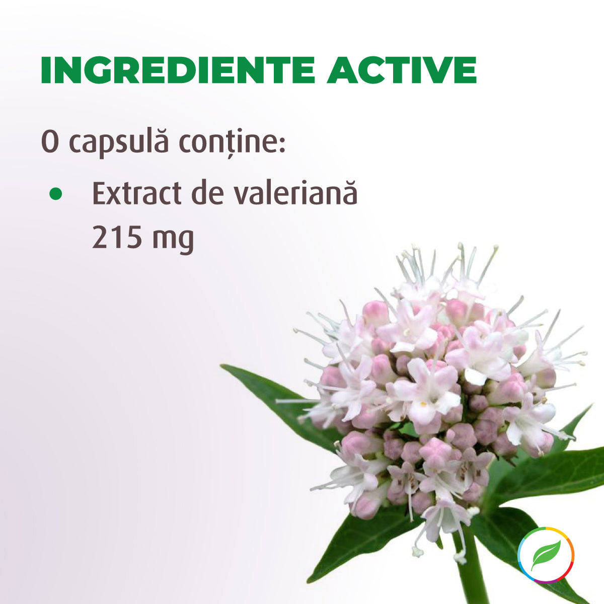 Extract de Valeriană, efect relaxant