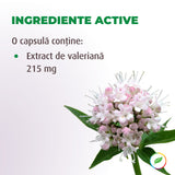 Extract de Valeriană, efect relaxant