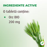 Barley Grass, cu orz BIO, pentru reducerea colesterolului