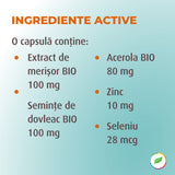 Renalo Complex, cu semințe BIO de dovleac