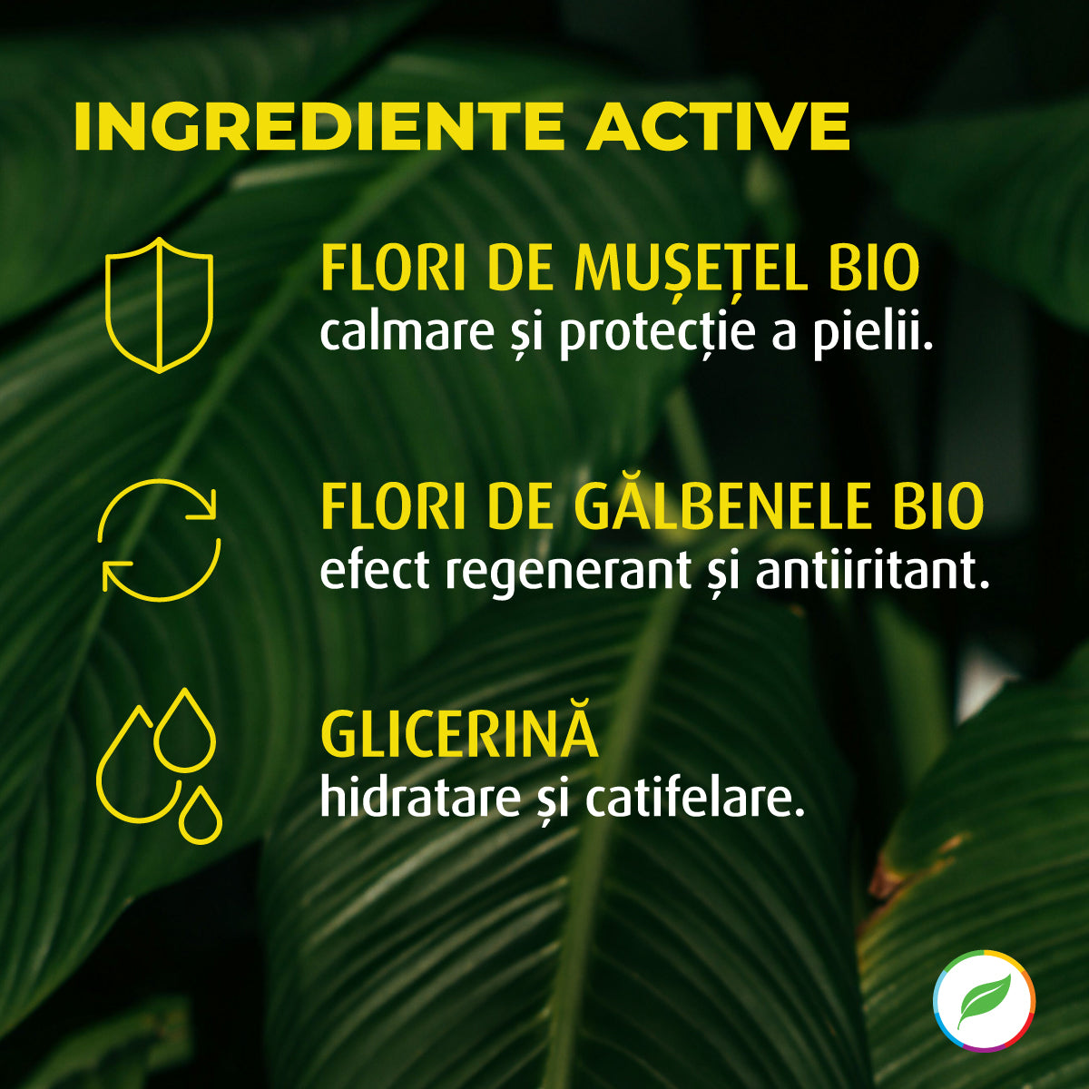 Săpun lichid, cu mușetel și gălbenele BIO
