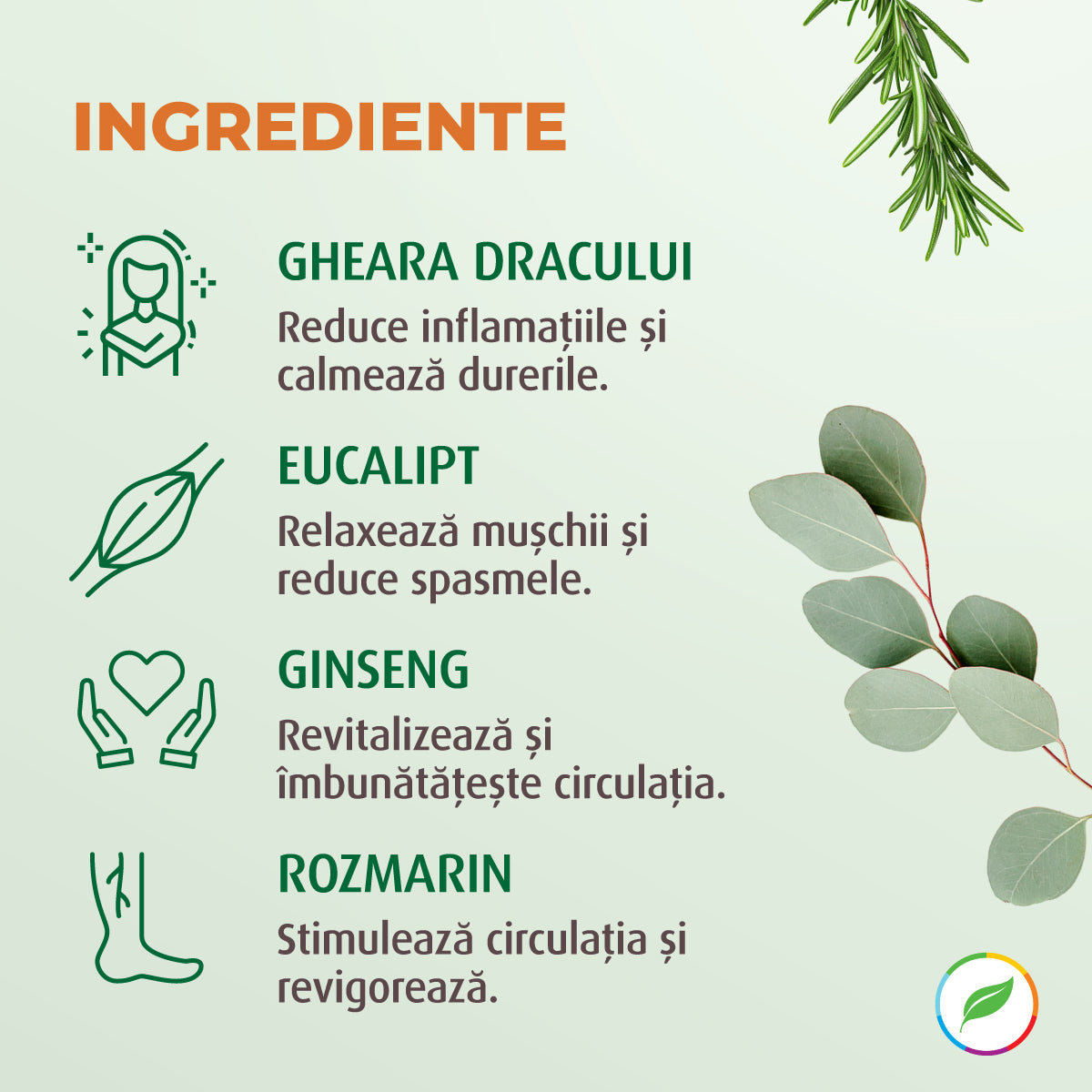 Gel răcoritor, Gheara Dracului, cu plante BIO - 500 ml