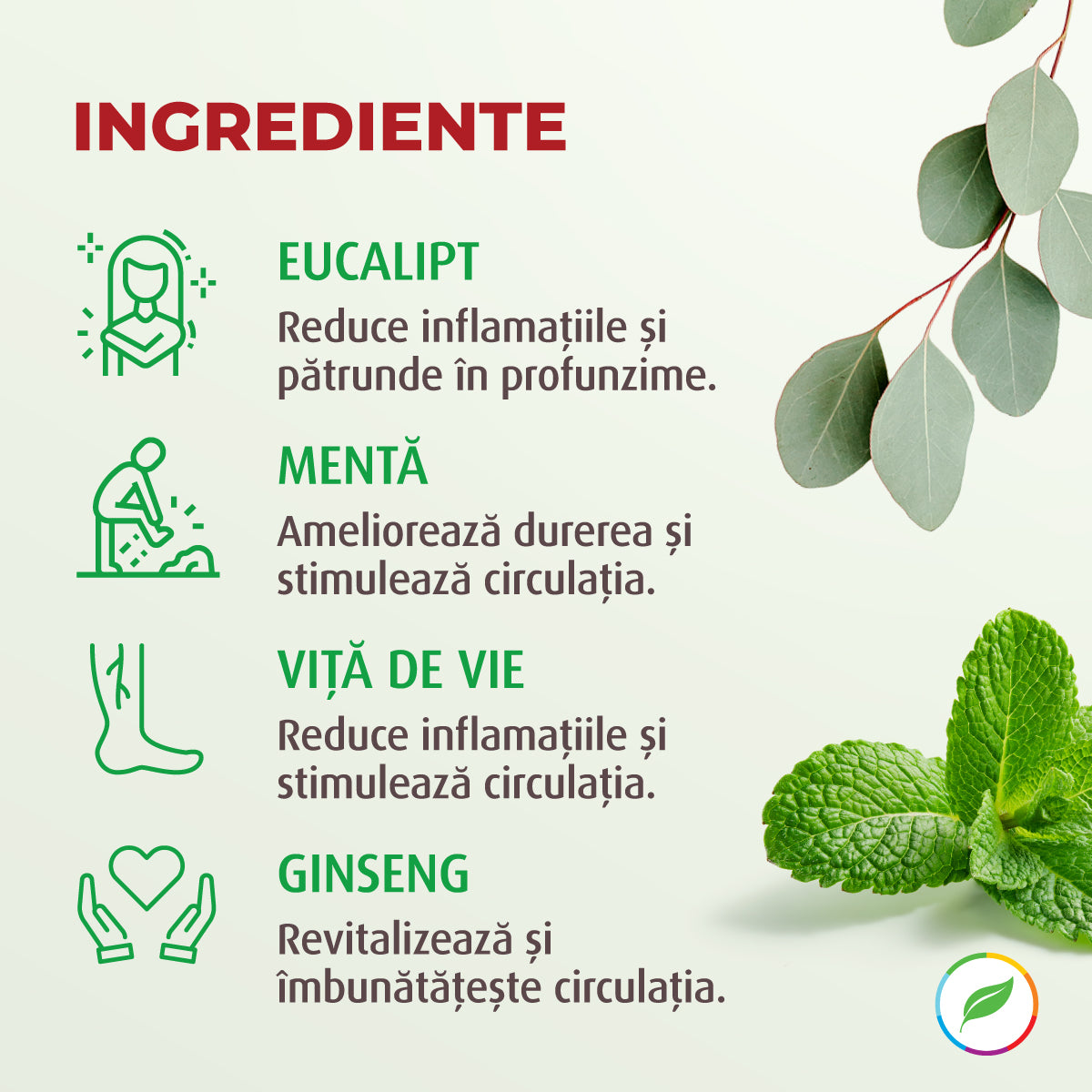 Power ROLL by Puterea Ursului, cu plante BIO