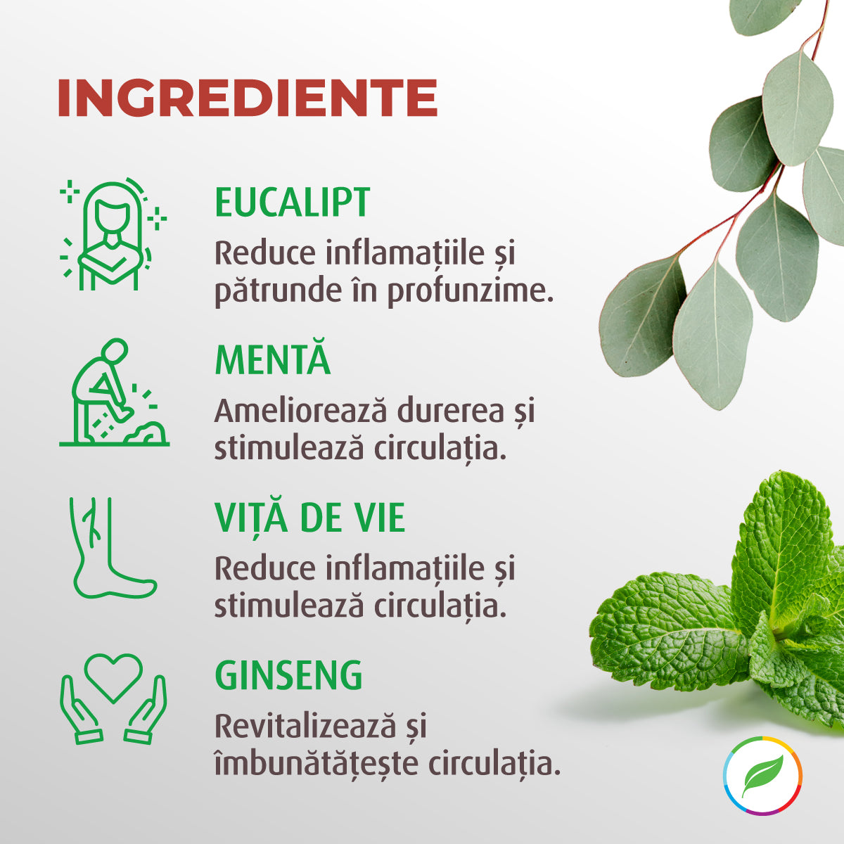 Gel încălzitor, Puterea Ursului, cu plante BIO - 250 ml