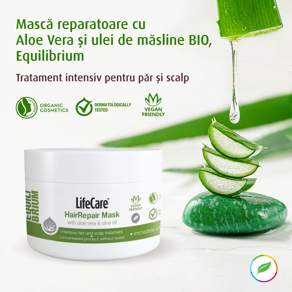 Hair repair mask and scalp, with aloe vera and organic olive oil, equilibrium