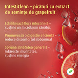 IntestiClean pentru echilibru digestiv