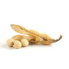 Life Impulse® Lecithin Plus cu soia
