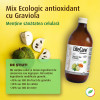 Mix Ecologic antioxidant, cu Graviola, catina si mere, Life Care®