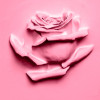 Crema de corp, Treasured Rose, cu apa de trandafiri BIO, Life Care®