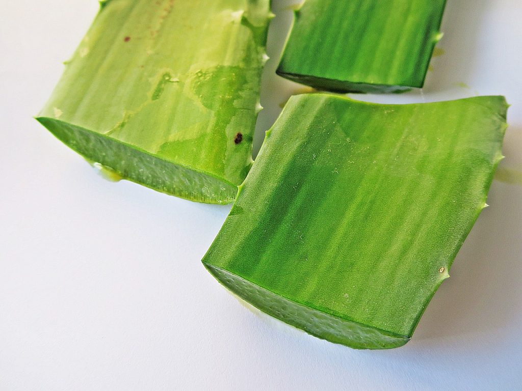 Aloe Vera